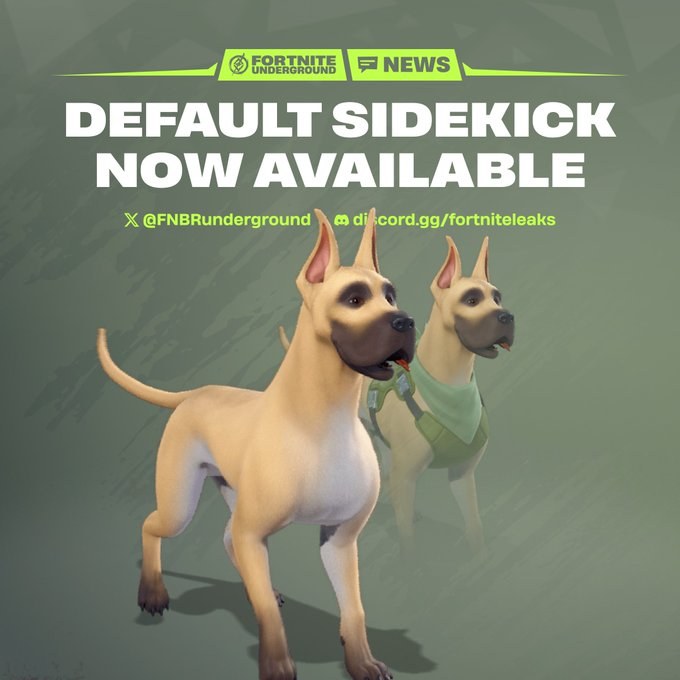 Default Dane Sidekick Is Now Available in Fortnite