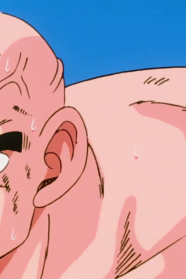 Dragon Ball Z Season 1 Episode 25 — Sacrifice