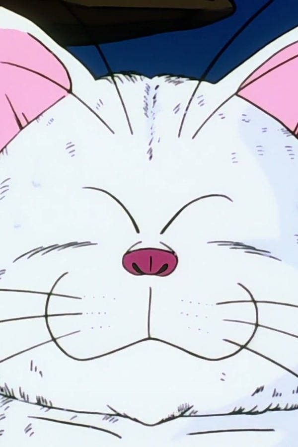 Dragon Ball Z Season 1 Episode 36 — Picking up the Pieces