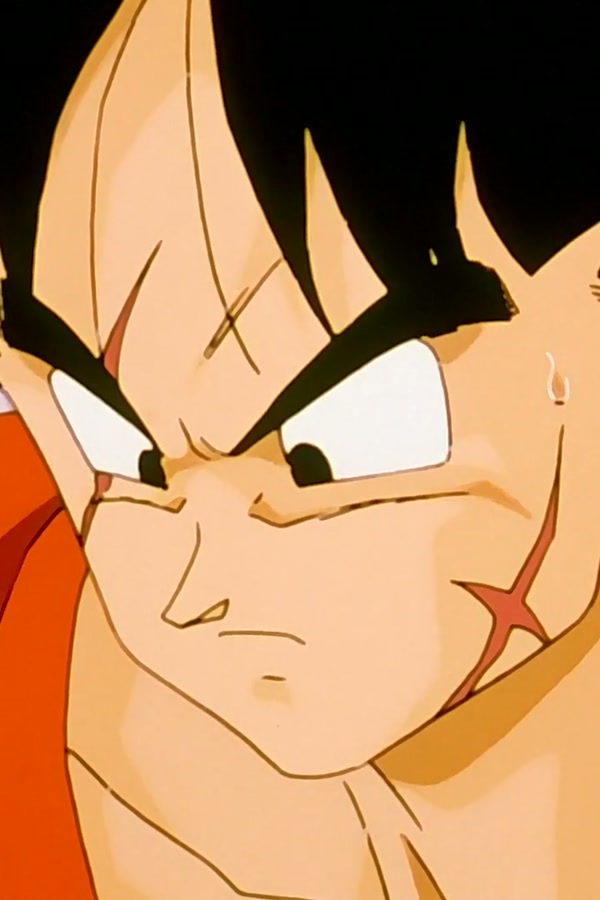 Dragon Ball Z Season 1 Episode 124 — Z Warriors Prepare