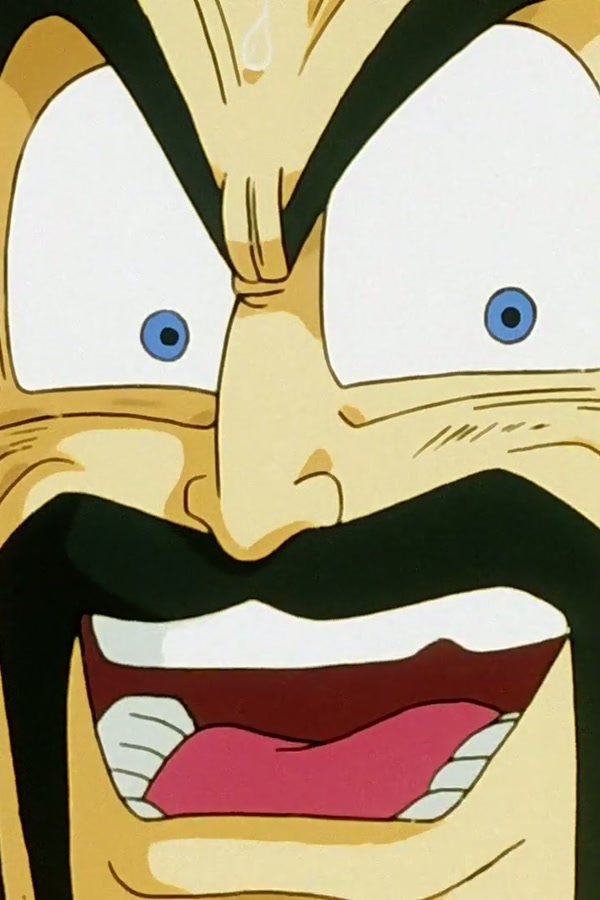 Dragon Ball Z Season 1 Episode 192 — Goku's Decision