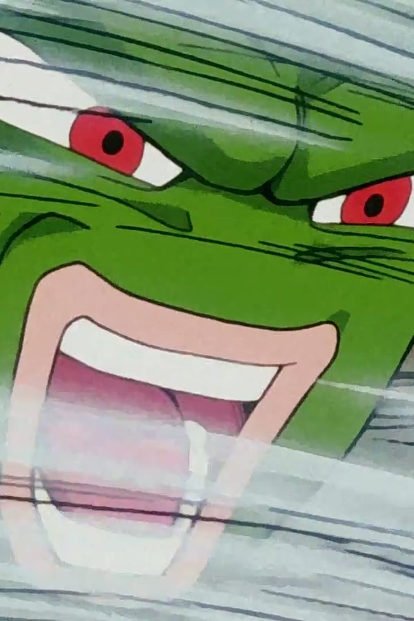 Dragon Ball Z Season 1 Episode 199 — Goku vs Pikkon