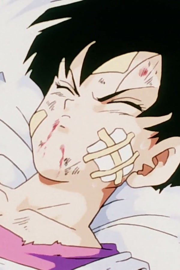 Dragon Ball Z Season 1 Episode 218 — Identities Revealed