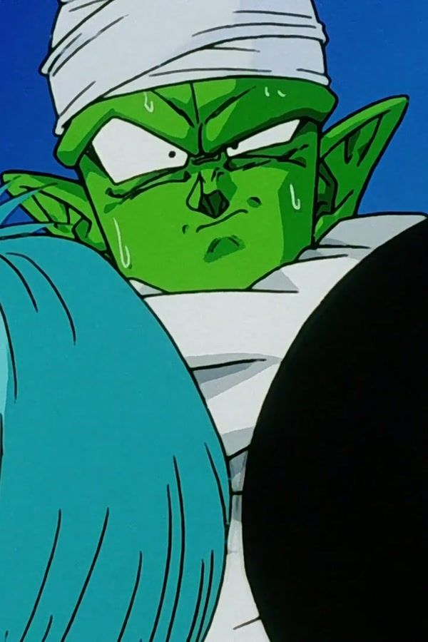 Dragon Ball Z Season 1 Episode 255 — Buu Against Buu