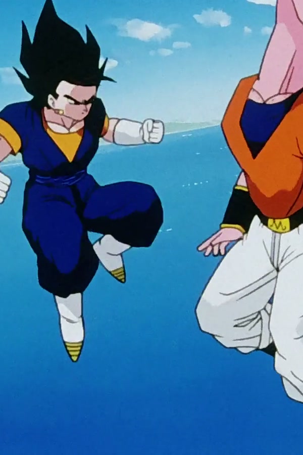 Dragon Ball Z Season 1 Episode 269 — Meet Vegito