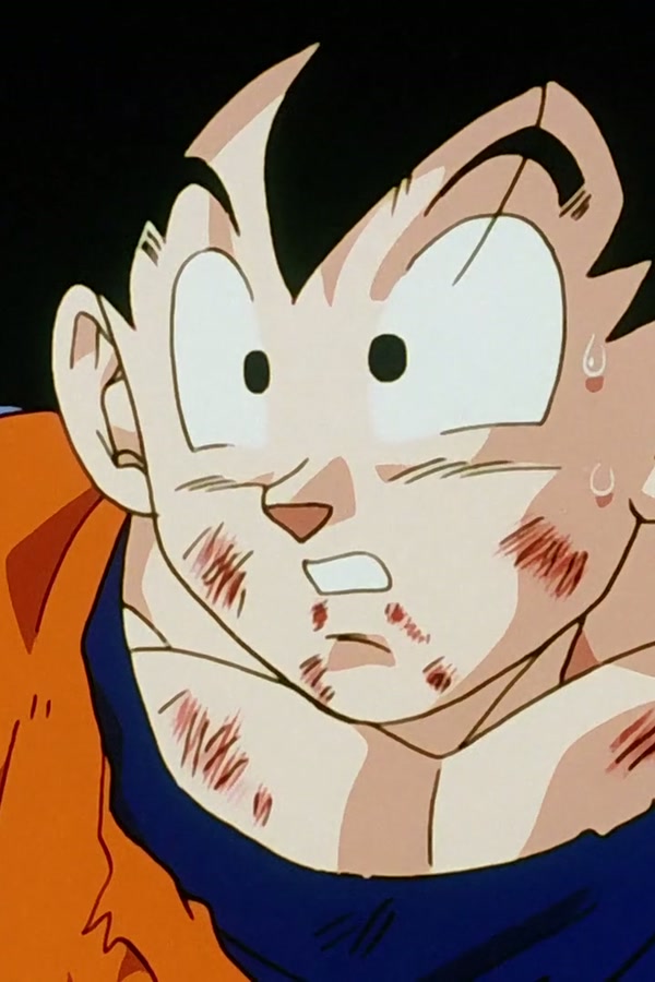 Dragon Ball Z Season 1 Episode 284 — Call to Action